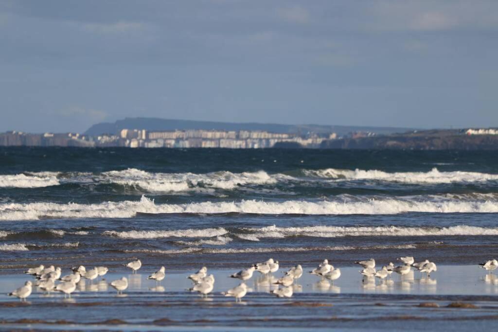 Fisherman'S Lodge Portstewart Exteriör bild